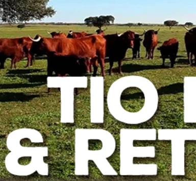 El Maridaje de la Retinta con los Vinos de Jerez brilla en el BlogTrip "Tio Pepe & Retinta"