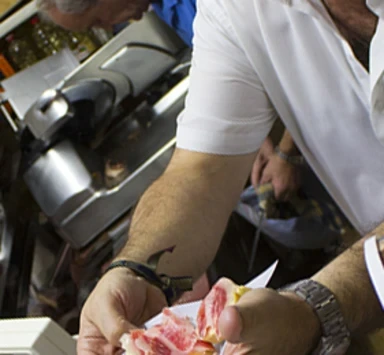¿Cuál es el origen de la Tapa?