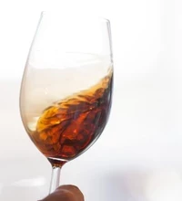 cata tecnica 5 vinos Tio Pepe