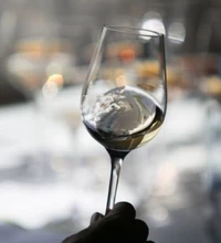Cata tecnica 9 vinos Tio Pepe