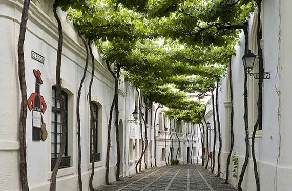 Calle Ciegos