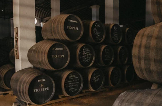 Bodega Tio Pepe